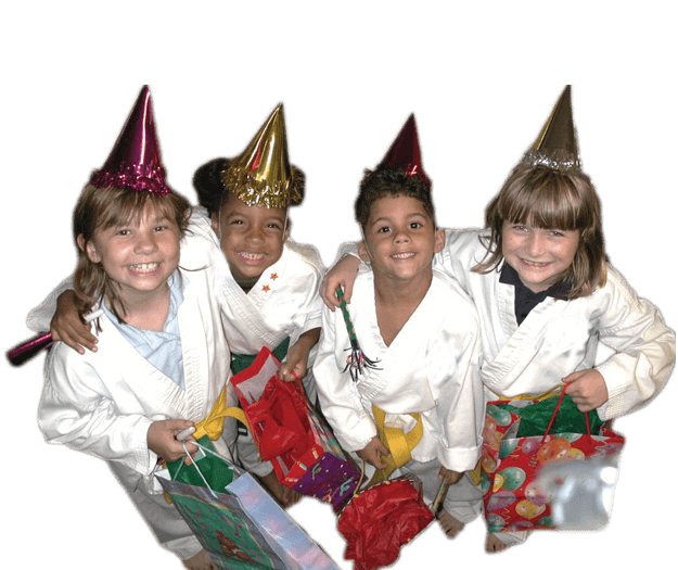 Martial Arts Birthday Party in Mission Viejo CA - Happy Birthday Kids Party Footer Banner