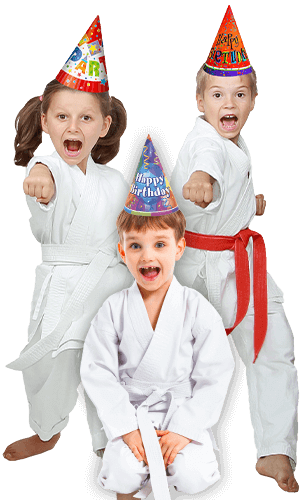 Martial Arts Birthday Party for Kids in Mission Viejo CA - Birthday Punches Page Banner